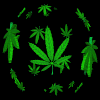 go green with me